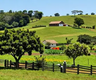 Descubra a Roça Grande: Um Charme Rural em Sabará