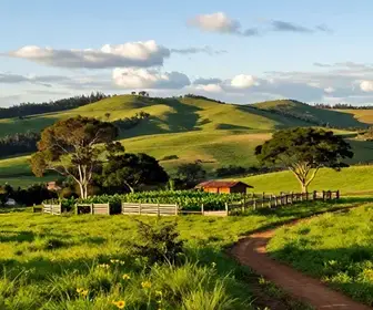 Descubra o Encanto do Turismo Rural em Sabará - MG